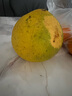 柚满园【纯甜不酸】梅州沙田柚子正宗特产广东金柚碌柚新鲜水果沙甜柚 礼盒装4个带箱10斤 实拍图