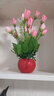 花艺赫家饰仿真花郁金香塑料花小盆栽室内家居餐桌摆件客厅办公桌装饰假花 粉色玉兰苞+红色花瓶套装 实拍图