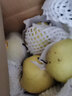 京鲜生 天山雪梨  净重10斤装 单果200g起 精选雪梨 新鲜水果 实拍图