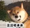 现货 端粒效应诺贝尔奖得主破解老化之秘 2023年新版 天下文化 健康医学养生书籍 原版进口书 医疗保健 港台 港台原版书 图书 实拍图