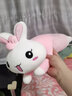 红运来小兔子毛绒玩具公仔玩偶布娃娃睡觉抱枕七夕情人节送女友老婆礼物 粉色开心每一天 70厘米（+小挂件） 实拍图