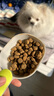 NOW FRESH无谷全犬种老犬粮 6磅/2.72KG 效期至25/12  实拍图