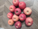 京鲜生 洛川苹果 陕西红富士苹果5斤中果 单果215g+ 生鲜水果 源头直发 晒单实拍图