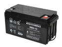 山克SK65-12 UPS不间断电源电池 铅酸免维护蓄电池12V65AH 晒单实拍图