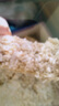 咪贝萌 仓鼠木屑尿砂垫料除臭保暖尿沙锯末刨花金丝熊龙猫专用品鼠类 仓鼠粮400g+浴沙1500g+木屑1000g 实拍图