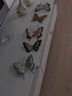 Snnei欧式立体铁艺壁饰 仿真蝴蝶墙饰 创意客厅装饰挂件玄关墙壁上挂饰 炫舞青春B 实拍图