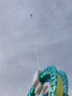欣雅妮风筝儿童成人风筝线轮潍坊大号卡通易飞大型户外亲子玩具微风 青鸟【送400米线轮，线已缠好】 实拍图