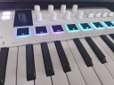 ARTURIA MINILAB3 MK3 便携MIDI键盘25键迷笛控制器打击垫音乐作编曲制作 25键 白色 +踏板+便携包 官方授权 赠正版音色库 实拍图