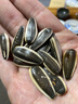 疯嗑（MELON SEEDS） 疯嗑瓜子原味葵瓜籽葵花籽内蒙古休闲零食多规格选择 原味180gx10袋 实拍图