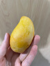 果迎鲜芒果 4.5斤 贵妃芒 新鲜水果 生鲜 海南小贵妃芒果单果60-100g 实拍图