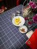 颖爵 餐桌布欧式防水防油防烫免洗台布PVC桌布网红茶几布艺小清新圆桌 加厚款-复古蓝格 100x100正方形圆形桌适用 实拍图
