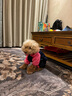 宠物圈（PETCIRCLE）秋季冬季狗狗衣服泰迪衣服宠物服饰狗衣服宠物泰迪狗狗衣服小型犬 爱心款粉色 M适合背长33CM胸围45CM重8-10斤 实拍图