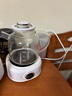 LOTOR徕多养生壶全玻璃养生壶1升迷你烧水壶保温一体全自动恒温电热水壶小型煮茶器D11 实拍图