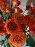 【基地直发】FlowerPlus花加优选水养鲜切花瓶插花桌面装饰清新礼物速递花束（下单后7天内发货） 多头玫瑰5枝,颜色随机 预售 实拍图