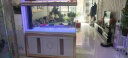 汉霸超白玻璃生态底滤鱼缸客厅家用大型屏风智能龙鱼缸水族箱龙缸 典雅白 屏风1.5米长x53cm宽x86cm缸高/75cm 晒单实拍图