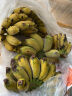 小米蕉 香蕉 新鲜水果 5斤装 晒单实拍图