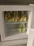 惠康（HICON）储奶小冰箱  急冻小冰柜迷你家用 单门小型冷冻单温柜 全冷冻母乳冰柜 普通款-冰柜40L-经典白（带冰篮） 实拍图