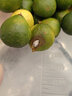 译优农海南青金桔小青柠小青柑奶茶店小金桔小青桔新鲜水果 5斤海南青金桔【奶茶店装】 实拍图