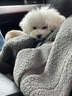 约翰农场狗狗零食大礼包宠物训犬鸡胸肉干泰迪博美金毛幼犬磨牙肉干 三文鱼肉块100g 【坚韧耐咬】 实拍图