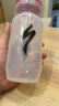 SPECIALIZED闪电 PURIST 650ML 大容量骑行运动健身配件水壶水杯 S-logo/透明/红 实拍图
