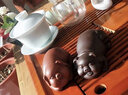 瓷牌茗 创意紫砂茶宠摆件可养生肖小猪茶盘茶台茶玩茶具茶道茶艺配件 朱泥（福满）幸福小猪茶宠 实拍图