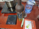 HARIO日本原装进口冷萃咖啡壶耐热玻璃冷泡壶欧式带滤网冷萃壶  咖啡色650ml 晒单实拍图