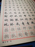 微力达德国拖把传统老式布条拧水无纺布地拖吸水拖布拧干桶物业保洁专用 微力达蓝拖替换头2个 实拍图
