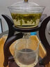 不拙玻璃自动茶具套装懒人自动泡茶器功夫茶具茶盘整套磁吸茶具家用 7-邀月自动6防烫杯+大收纳盘 实拍图