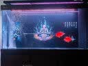 boxtech鱼缸灯led灯龙鱼灯管水族箱专用照明灯增艳增色防水灯大鱼缸灯具 T8系列-30W增艳灯142cm灯管 实拍图