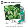 MARVIS 玛尔仕 经典强力薄荷牙膏85ml（绿色）清洁口腔 意大利 玛尔斯 实拍图
