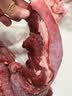 丹桂（DANGUI）靖江特产猪肉脯付片自然片袋装蜜汁芝麻香辣原味熟食开袋即食 原味500g 实拍图