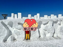 迪卡侬（DECATHLON）儿童滑雪裤冬季加厚防水保暖滑雪运动单板宽松棉裤背带裤 紫色 135cm /8-10岁 实拍图