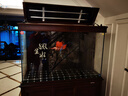 森森（SUNSUN）【包安装】鱼缸大型客厅生态超白玻璃水族箱底过滤龙鱼缸免换水 1.2米长42.2cm宽(刚果柚木)带豪华礼包 实拍图