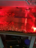金利佳（Jeneca）潜水小射灯鱼缸灯节能高亮灯led灯七彩防水超亮装饰灯小型水中灯 高亮节能潜水射灯（红色） 晒单实拍图