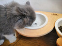 畅享猫粮幼猫成猫天然英短蓝猫加菲全价全猫龄通用 畅享幼猫奶糕粮1.2KG 实拍图