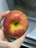 于小乖陕西秦冠粉面沙甜新鲜水果老人婴儿刮泥丑苹果(粉面需放置几天） 甄选5斤中果（净重4.5-4.8） 实拍图