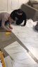 琼华（qionghua）pvc地板贴自粘地板胶加厚防水耐磨塑胶地板贴卧室家用水泥地直接 JD06/五平方 地板厚度1.8mm 实拍图