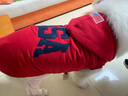 楚克奇（CHUKCHI）大狗衣服边牧金毛中大型犬冬装狗棉衣马犬马甲背心连帽两腿喜庆 红色 36号颈围68CM*胸围96CM*背长75CM 实拍图
