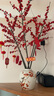 临雅北美冬青红果鲜花切枝鲜切花水培水养绿植室内年宵花卉真花好养活 【旗舰款】北美冬青-60cm5支+挂件 实拍图