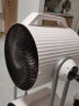 灿坤（EUPA） TSK-F8105 空气循环扇电风扇 家用办公室工厂商场工业落地扇 大风量 实拍图