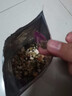 咪贝萌 冻干仓鼠粮食主粮主食物营养饲料苍鼠用品鼠粮磨牙套餐五谷齐全 冻干仓鼠粮400克 实拍图