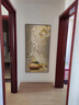 俏董婆九鱼图玄关装饰画竖版带灯LED发光画走廊过道尽头背景墙高档灯画 九鱼富贵 40*80【晶瓷+铝合金框】 实拍图