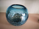 傲石 玻璃透明水养花瓶 摆件客厅插花轻奢ins风法式简约餐桌干花瓶 圆款(高16.5cm) 实拍图