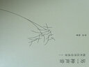 新民说·另一种声音：海外汉学访谈录 （季进/编著，乐黛云作序，宇文所安、夏志清等汉学名家的深度访谈） 实拍图