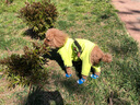 宠哆哆 狗狗鞋子小型犬中型犬泰迪贵宾比熊犬鞋子软底脚套防滑靴宠物用品柯基博美茶杯犬狗鞋 (蓝色)下单前建议咨询售前量狗狗尺码 XL-推荐12-16斤左右 实拍图