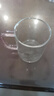 富光 玻璃杯茶杯透明泡花茶杯带把手杯子客厅水杯家庭套装男女牛奶杯 把手杯（4只彩色）+茶盘 实拍图