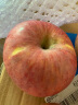 于小乖 陕西秦冠粉面沙甜的新鲜水果老人婴儿刮泥苹果(粉面需放置几天） 带箱5斤中小果 实拍图