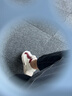 FILA FUSION斐乐女鞋帆布鞋女 低帮板鞋POP轻质帆布鞋休闲运动鞋女 奶白/烧砖红-GF 36.5 实拍图