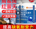 北京同仁堂 角鲨烯 角鲨烯红景天软胶囊 提高缺氧耐受力西藏高原旅游必备非红景天口服液非高反药 3瓶【21天用量】 实拍图