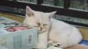 皇家猫粮 幼猫奶糕 幼猫猫粮 BK34 通用粮 1-4月 2KG 实拍图